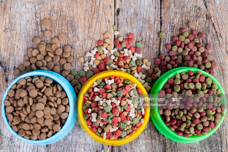 ❓ غذای خشک سگ چیست؟