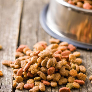 ❓ غذای خشک سگ دکتر ژان چه ویژگی هایی دارد؟