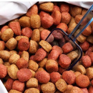 ❓ غذای خشک سگ برزیلی شامل چه برندهایی میباشد؟